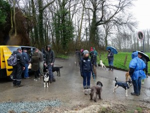 sized 1024 Lentewandeling 2015 028